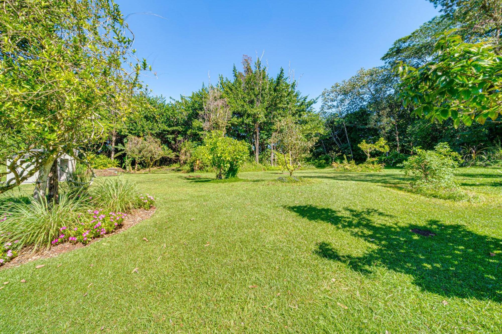 Keaau Apartment On Beautiful Acre With Pool And Deck! Esterno foto